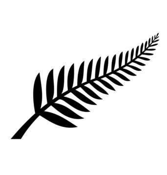 Silver Fern